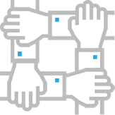 Network Icon